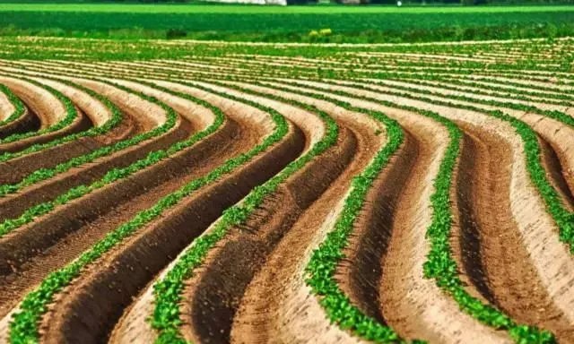 未来农业新模式：定制农业+共享农业+商业化农业(图3)