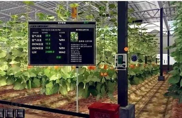 【智慧农业】中国未来农业的机遇(图2)